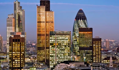 Momentum Case Study Image